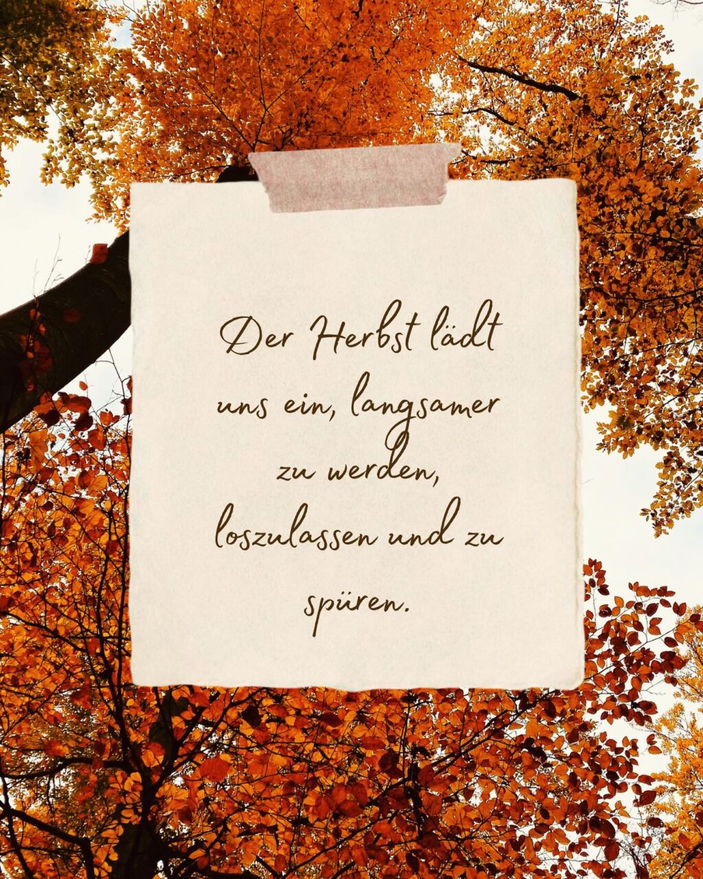 Instagram post from cordibri. This post is in position 5.