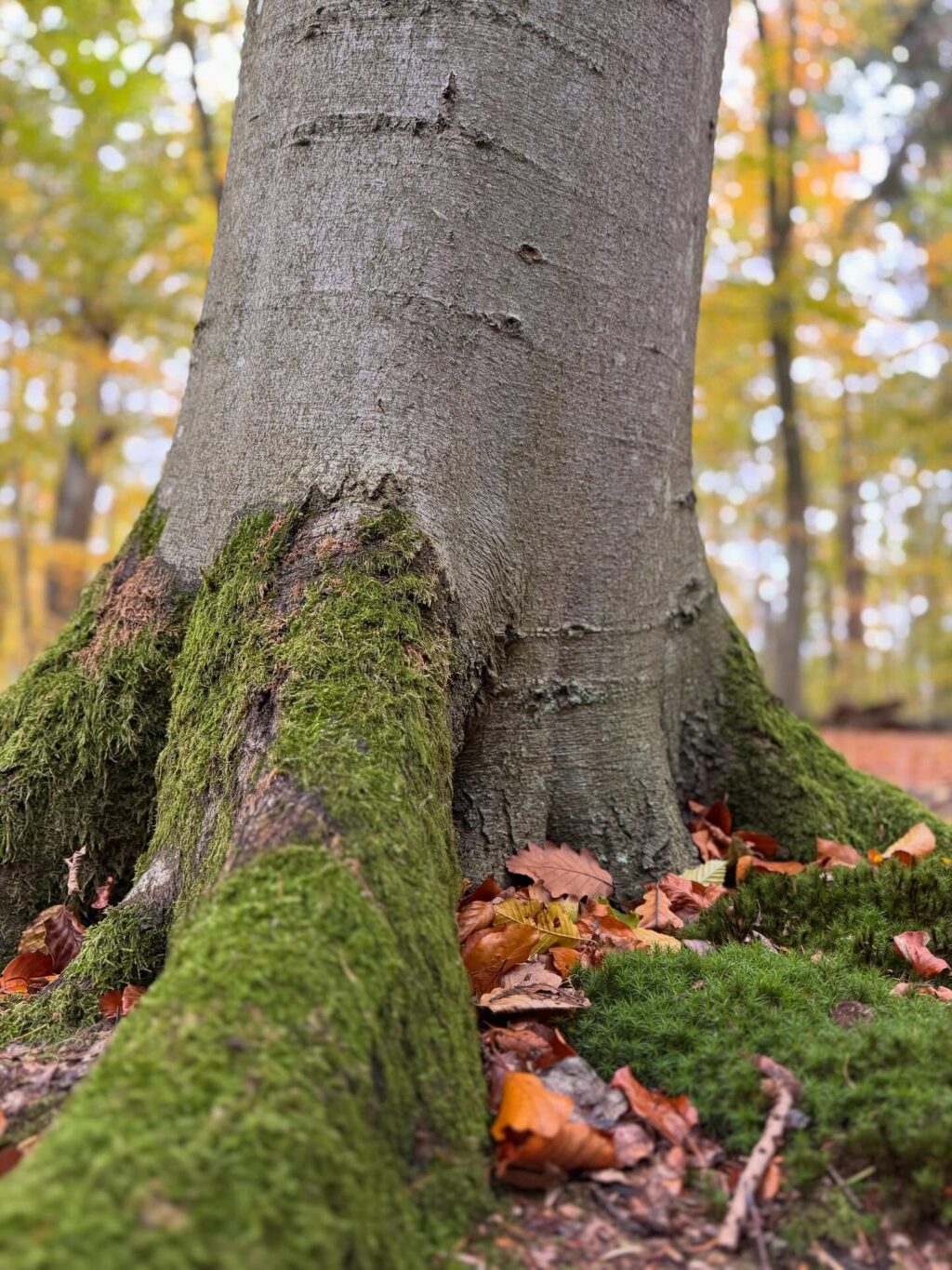 Instagram post from cordibri. This post is in position 3.